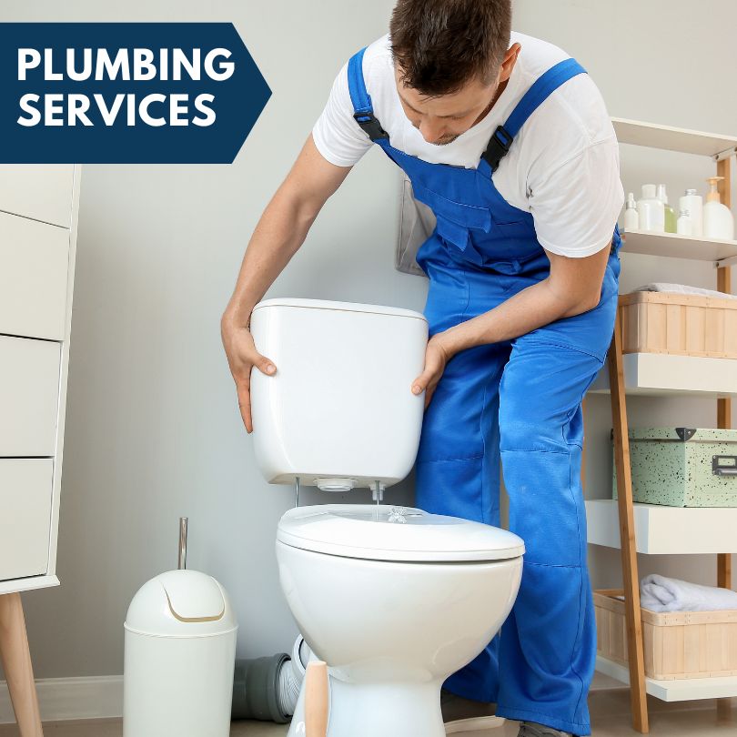Plumbing Company in Williamston, MI
